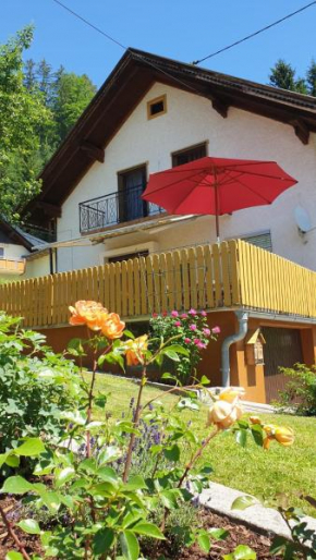 Ferienwohnung Haus Pirkebner